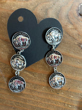 Load image into Gallery viewer, $14 dollar earrings